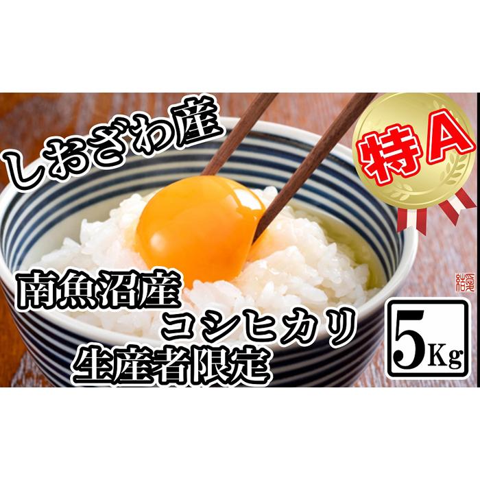 【令和7年産】【生産者限定 契約栽培】南魚沼しおざわ産コシヒカリ5kg【2025年10月上旬より順次発送予定】新潟県南魚沼市25000米・パン白米