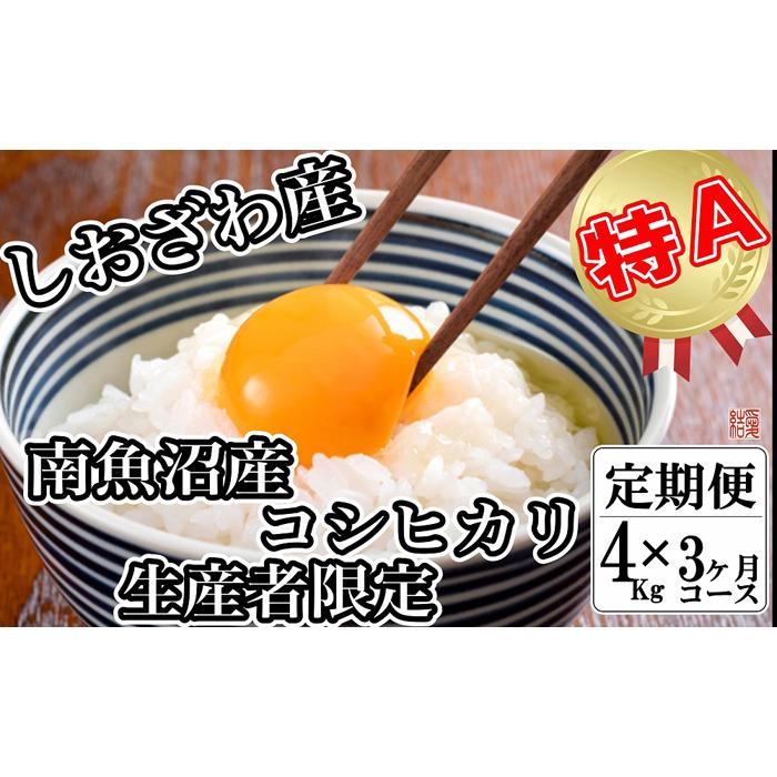 【令和7年産】【定期便/4kg×3ヶ月】生産者限定 契約栽培 南魚沼しおざわ産コシヒカリ【2025年10月上旬より順次発送予定】新潟県南魚沼市66000米・パン白米