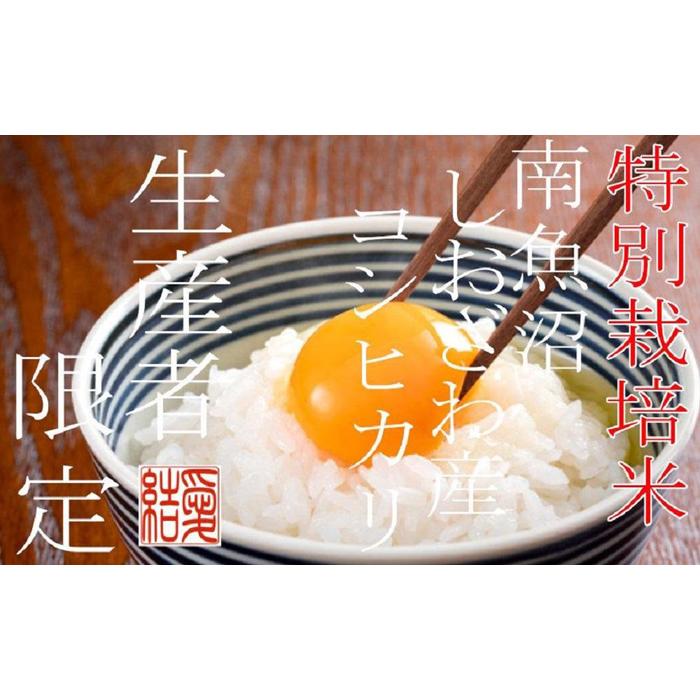 【令和7年産】【定期便5Kg×12ヶ月】【特別栽培米】 契約生産者限定  南魚沼しおざわ産コシヒカリ【2025年10月上旬より順次発送予定】新潟県南魚沼市300000米・パン白米