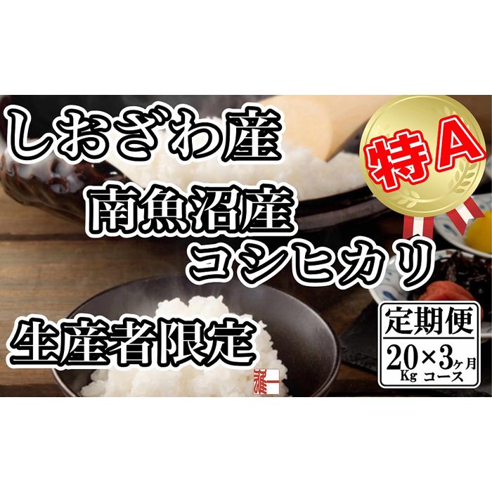 【令和7年産】【定期便:20Kg×3ヶ月】生産者限定 契約栽培 南魚沼しおざわ産コシヒカリ【2025年10月上旬より順次発送予定】新潟県南魚沼市300000米・パン白米