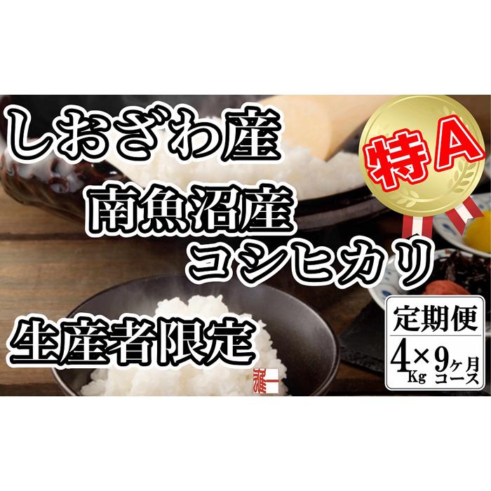 【令和7年産】【定期便:4Kg×9ヶ月】生産者限定 契約栽培 南魚沼しおざわ産コシヒカリ【2025年10月上旬より順次発送予定】新潟県南魚沼市198000米・パン白米
