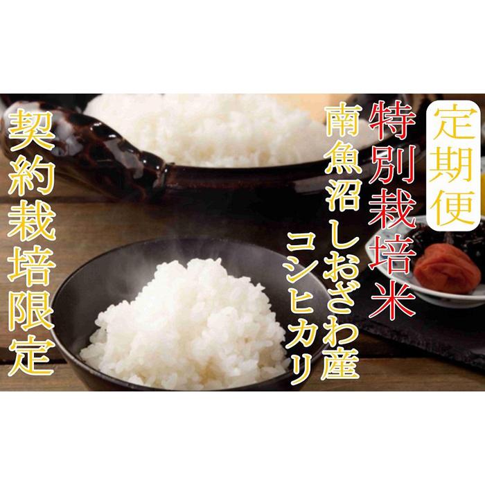 【令和7年産】※定期便:20Kg×3ヶ月※特別栽培 生産者限定  南魚沼しおざわ産コシヒカリ【2025年10月上旬より順次発送予定】新潟県南魚沼市300000米・パン白米