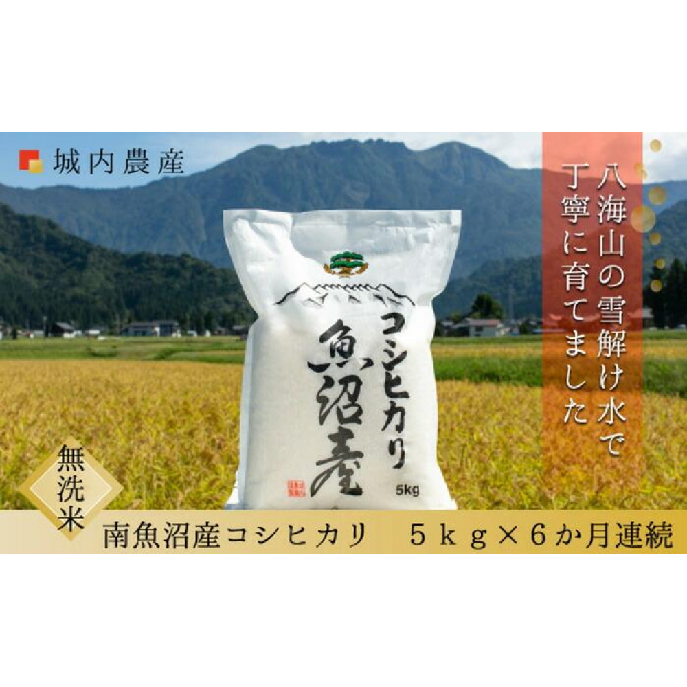【令和7年産 新米】【お米定期便/全6回】南魚沼産コシヒカリ 無洗米5kg<5割減農薬栽培米>城内農産新潟県南魚沼市120000米・パン白米