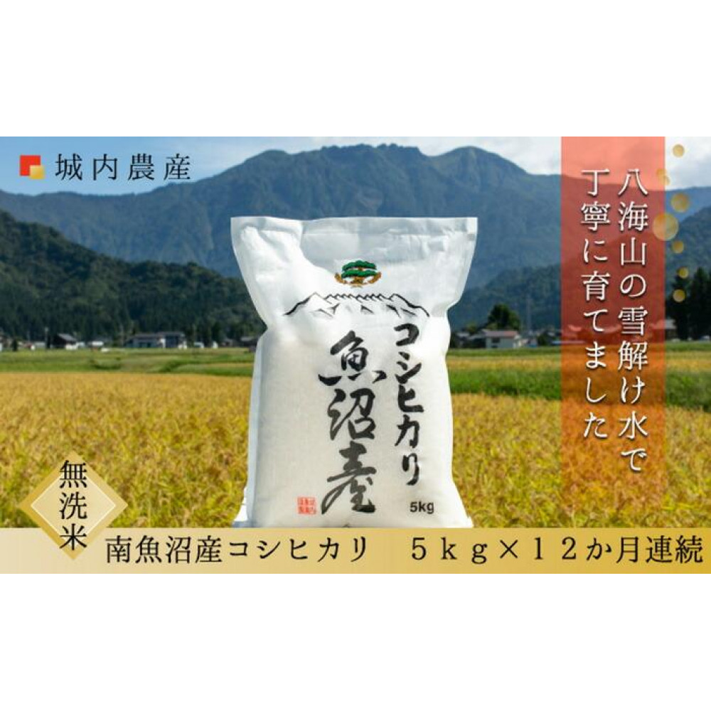 【令和7年産 新米】【お米定期便/全12回】南魚沼産コシヒカリ 無洗米5kg<5割減農薬栽培米>城内農産新潟県南魚沼市240000米・パン白米