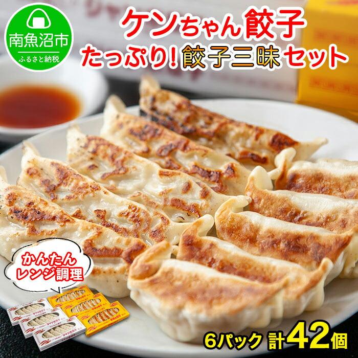 新潟県 南魚沼市 チルド手焼き餃子・ジャンボ餃子 食べ比べ セット 各3パック 計42個 ケンちゃん餃子 冷蔵 中華 点心 惣菜 ビール お取り寄せ グルメ新潟県南魚沼市22000鍋セット・総菜・加