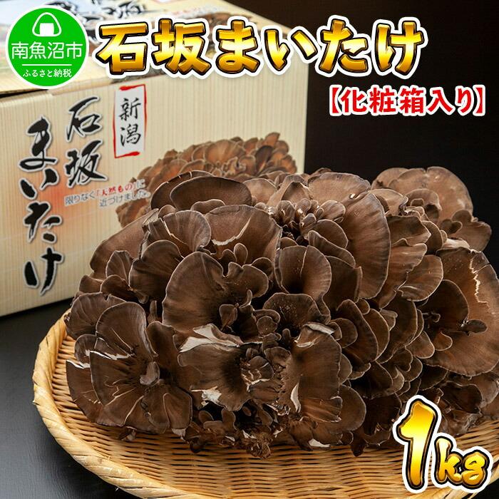 新潟県 南魚沼産 厳選 国産 石坂 高級 舞茸 産地直送 1kg新潟県南魚沼市11000野菜・きのこきのこ
