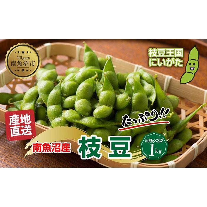 【予約販売】令和7年産 枝豆 500g×2袋 計1kg えだまめ 豆 つまみ おつまみ 酒の肴 晩酌 酒 ビール おやつ おかず 豆ごはん 冷蔵 越季 新潟県 南魚沼市新潟県南魚沼市12000野菜・きのこ豆類