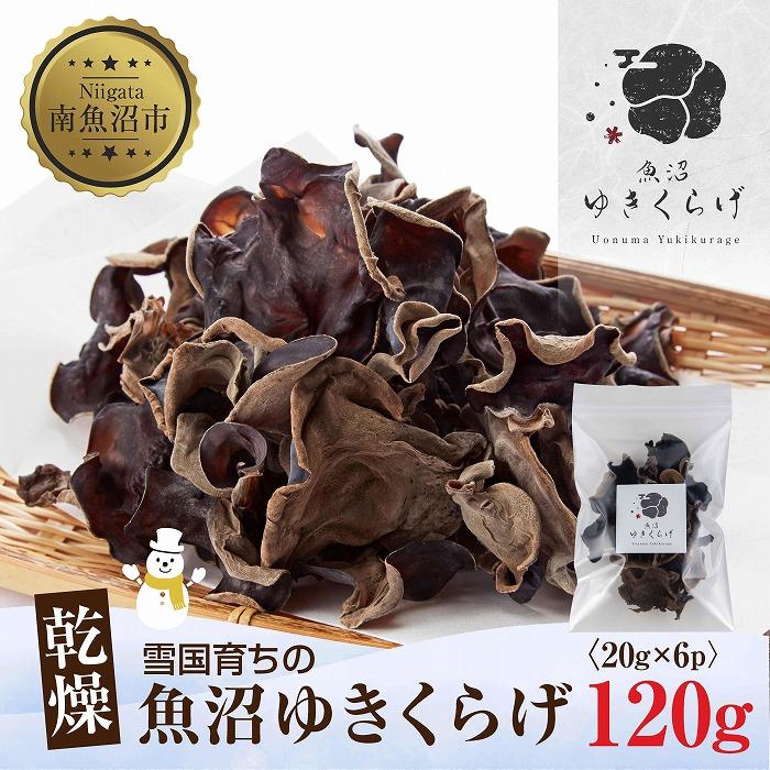 Y  炰 20g×6pbN v120g  h{Lx _ Y I[KjbN ƍ͔| ፑ 䂫炰 LNQ ؎ ̂ LmR r^~c  N Hi H@ ώ 
