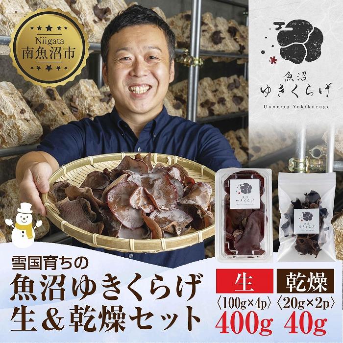 乾燥きくらげ/1kg/国産/高品質/群馬県みなかみ町産 Amazon.co.jp: 群馬県産 乾燥きくらげ 25g 【栄養満点！ 群馬県