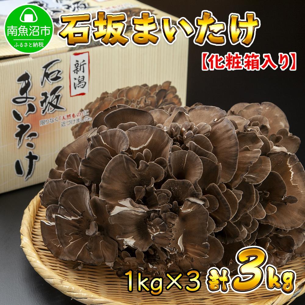 新潟県 南魚沼産 厳選 国産 石坂 高級 舞茸 産地直送 1kg ×3箱 計3kg 石坂きのこ新潟県南魚沼市33000野菜・きのこきのこ