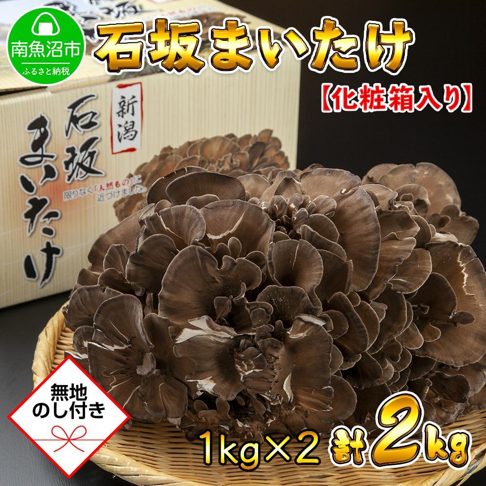 yn̂z V 싛Y I Y ΍   ܂ Yn 1kg ×2 v2kg 蕨 Mtg  Ε ΍₫̂V싛s22000؁Ê̂