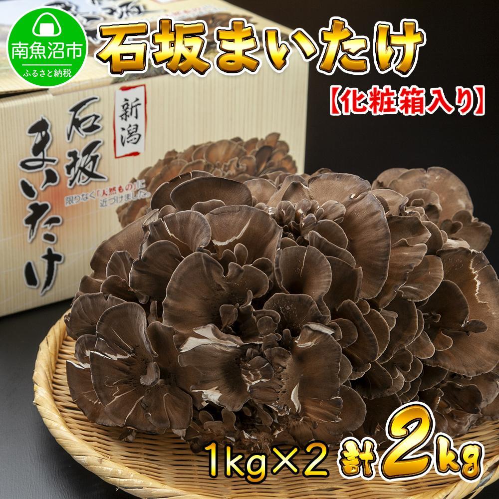 V 싛Y I Y ΍   ܂ Yn 1kg ×2 v2kg ΍₫̂V싛s22000؁Ê̂