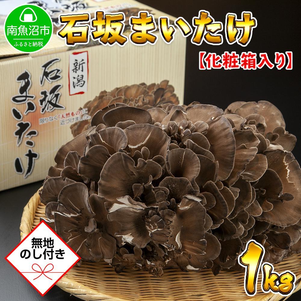 yn̂z V 싛Y I Y ΍   ܂ Yn 1kg 蕨 Mtg  Ε ΍₫̂V싛s11000؁Ê̂