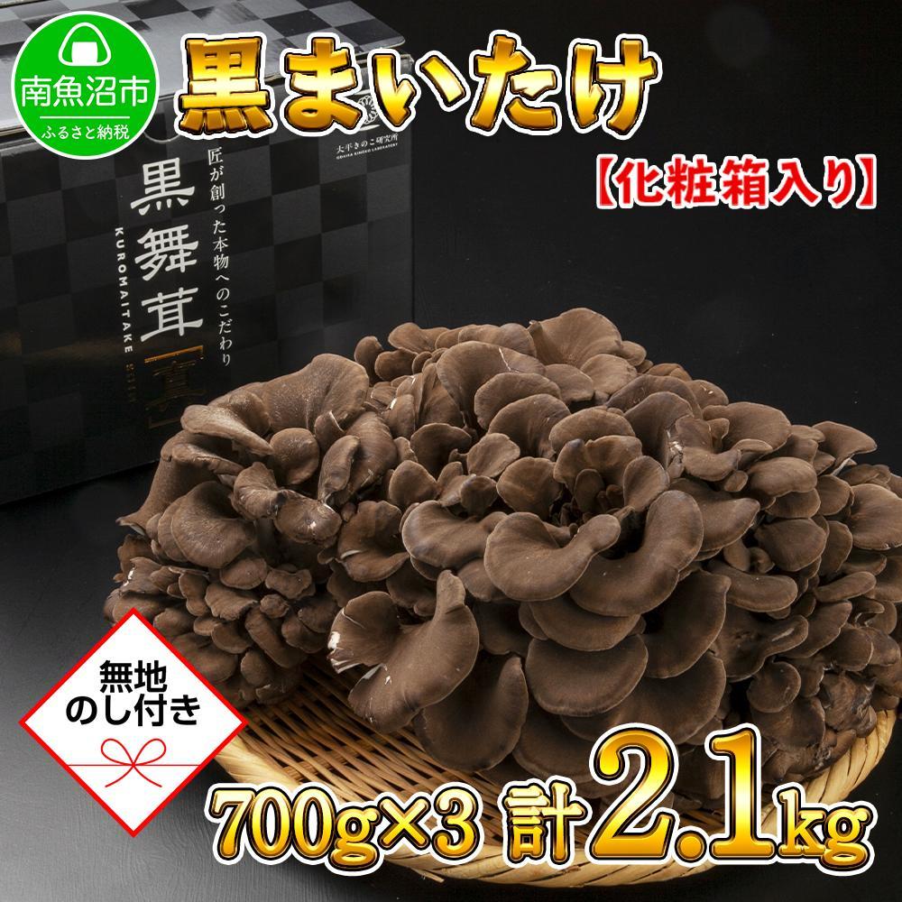 【無地のし】 新潟県 南魚沼産 厳選 国産 黒 高級 舞茸 まいたけ 産地直送 700g ×3箱 計2.1kg 贈り物 ギフト お中元 お歳暮 大平きのこ研究所新潟県南魚沼市29000野菜・きのこきのこ