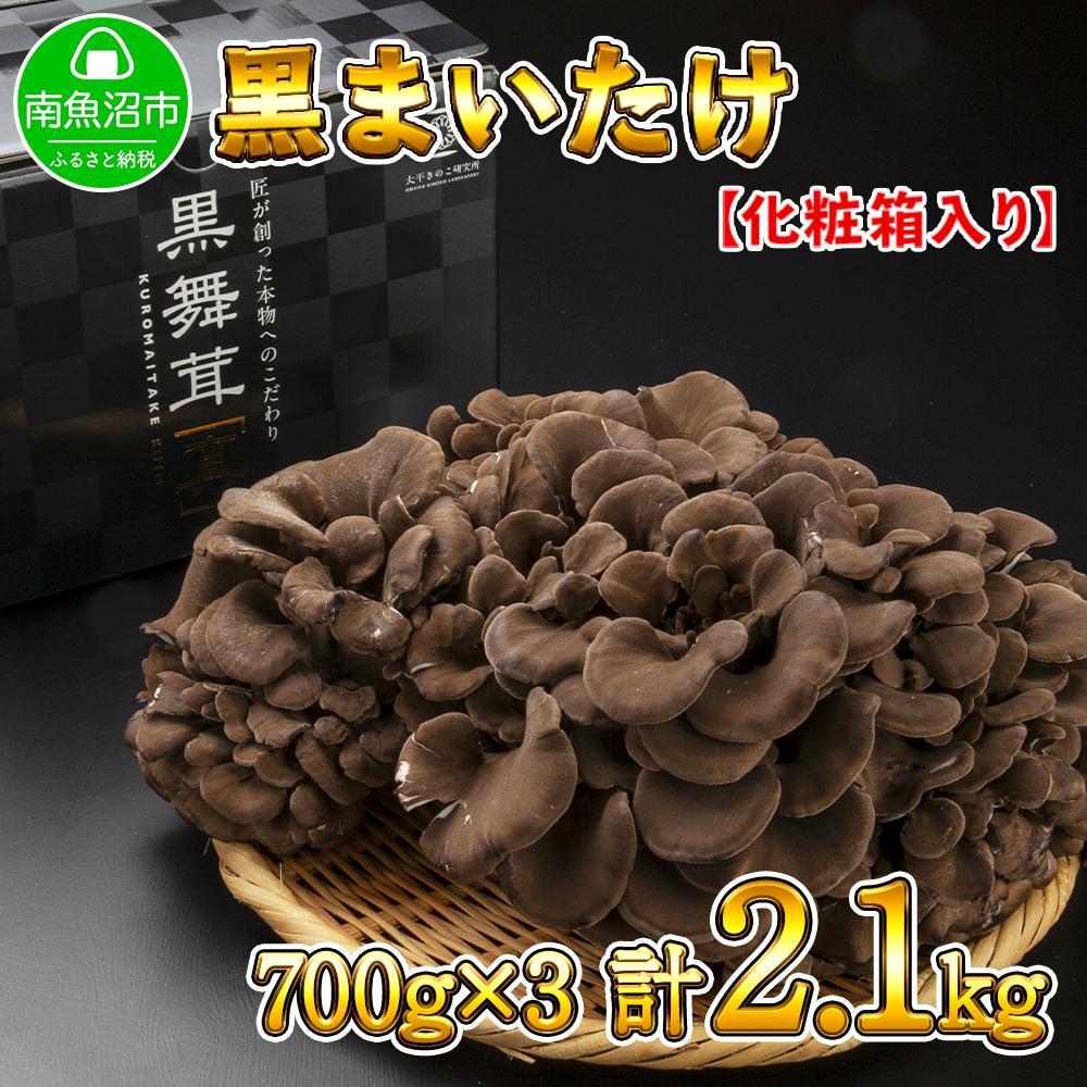 新潟県 南魚沼産 厳選 国産 黒 高級 舞茸 まいたけ 産地直送 700g ×3箱 計2.1kg新潟県南魚沼市29000野菜・きのこきのこ