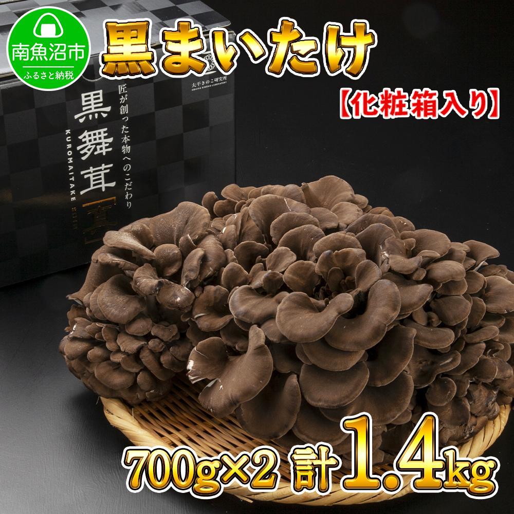 新潟県 南魚沼産 厳選 国産 黒 高級 舞茸 まいたけ 産地直送 700g ×2箱 計1.4kg新潟県南魚沼市20000野菜・きのこきのこ
