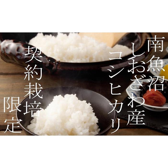 【令和7年産】【定期便】契約栽培限定 南魚沼しおざわ産コシヒカリ10Kg×12ヶ月【2025年10月上旬より順次発送予定】新潟県南魚沼市600000米・パン白米