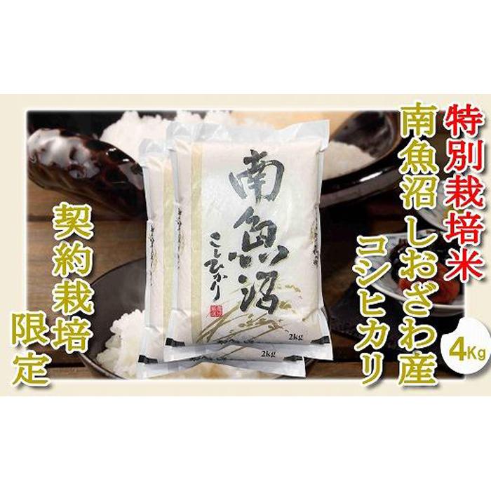 【令和7年産】【精米4Kg】特別栽培 生産者限定  南魚沼しおざわ産コシヒカリ【2025年10月上旬より順次発送予定】新潟県南魚沼市22000米・パン白米