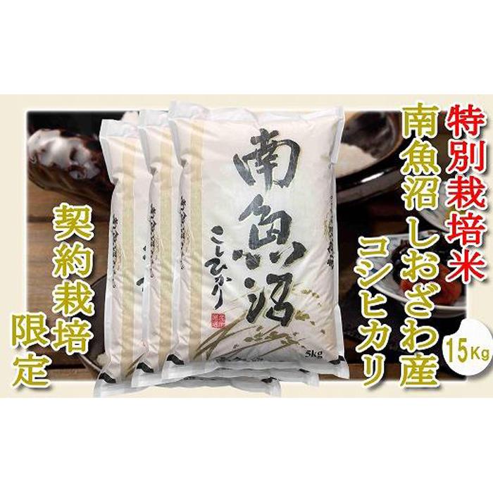 【令和7年産】【精米15Kg】特別栽培 生産者限定  南魚沼しおざわ産コシヒカリ【2025年10月上旬より順次発送予定】新潟県南魚沼市75000米・パン白米