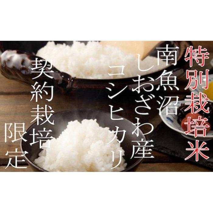 【令和7年産】【定期配送10Kg×6ヶ月】特別栽培 生産者限定  南魚沼しおざわ産コシヒカリ【2025年10月上旬より順次発送予定】新潟県南魚沼市300000米・パン白米