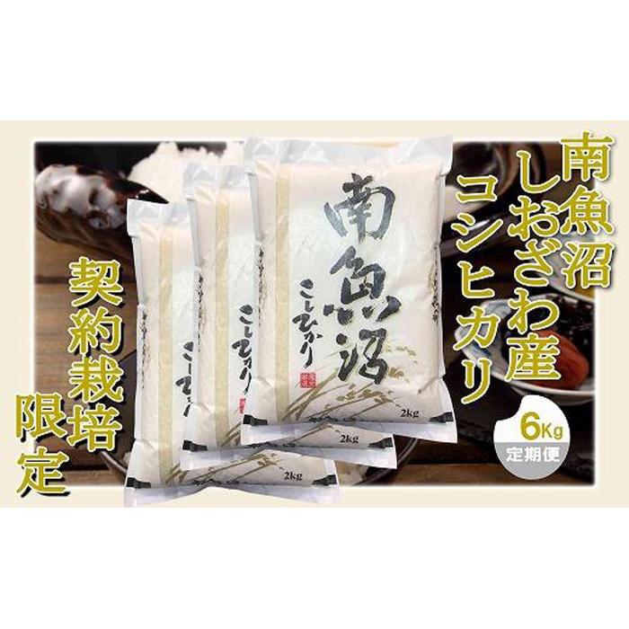 【令和7年産】【定期便 精米6Kg×3ヶ月】契約栽培限定 南魚沼しおざわ産コシヒカリ【2025年10月上旬より順次発送予定】新潟県南魚沼市99000米・パン白米