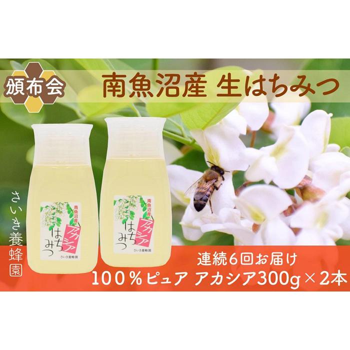 【頒布会】さいき養蜂園  天然ピュア蜂蜜 アカシア300g×2本 6か月連続お届け新潟県南魚沼市96000調味料・油その他 調味料・油