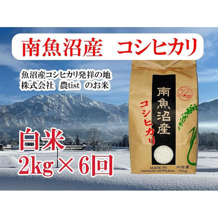 【令和7年産】【定期便 南魚沼産】コシヒカリ 白米2kg×6回【2025年9月中旬より順次発送予定】新潟県南魚沼市57000米・パン白米