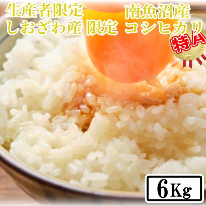 【令和7年産】【精米6kg】しおざわ産限定 生産者限定 南魚沼産コシヒカリ【2025年10月上旬より順次発送予定】新潟県南魚沼市33000米・パン白米