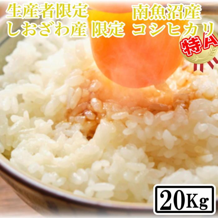 【令和7年産】【精米20kg】しおざわ産限定 生産者限定 南魚沼産コシヒカリ【2025年10月上旬より順次発送予定】新潟県南魚沼市100000米・パン白米