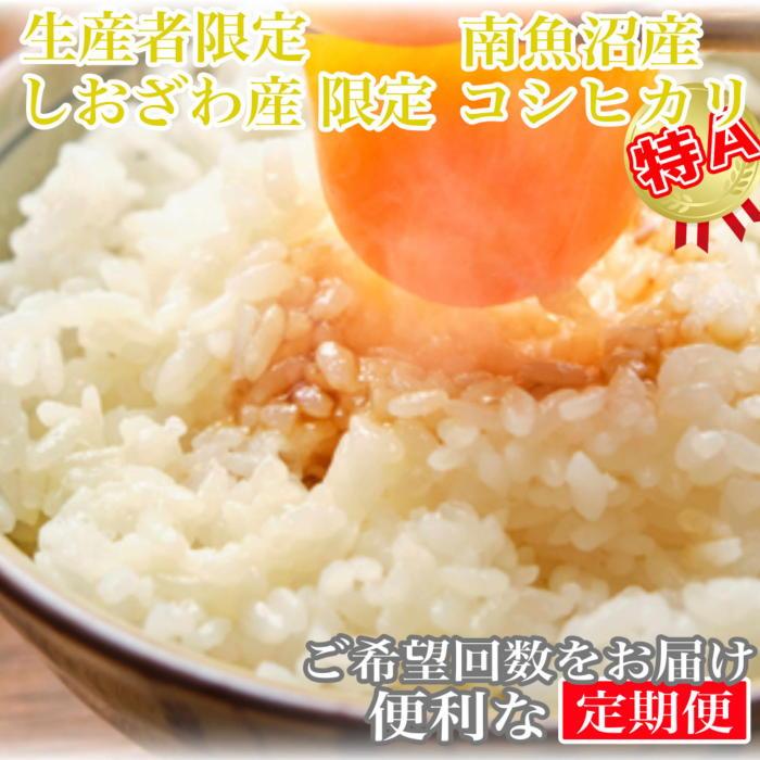 yߘa7NYzy20kg×9zY YҌ 싛YRVqJy2025N10{菇\zV싛s900000āEp