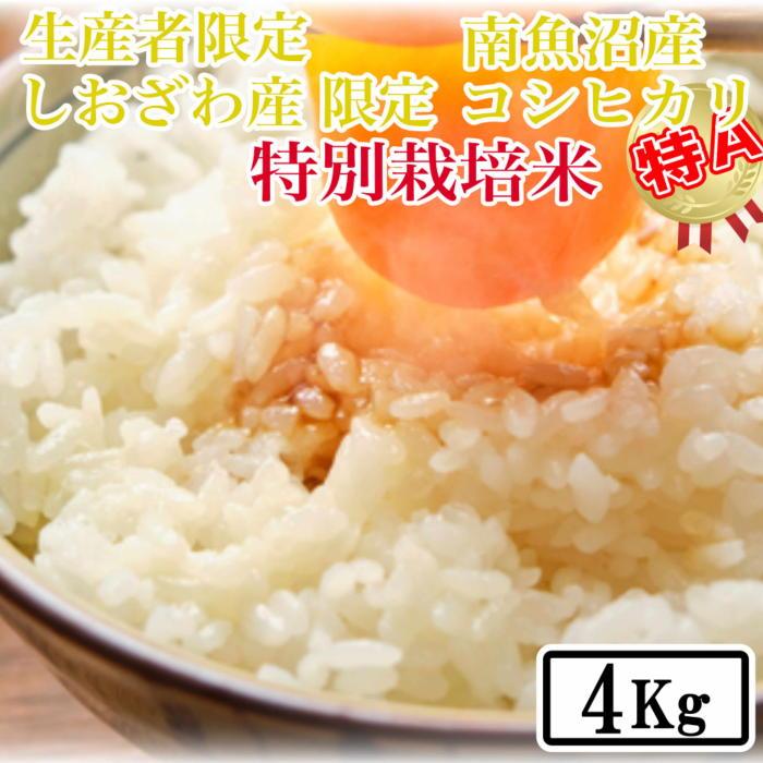 【令和7年産】【精米4kg】特別栽培 しおざわ産限定 生産者限定 南魚沼産コシヒカリ【2025年10月上旬より順次発送予定】新潟県南魚沼市22000米・パン白米
