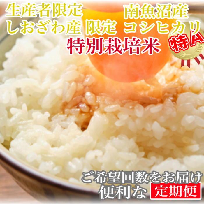 yߘa7NYzy6kg×3zʍ͔| Y YҌ 싛YRVqJy2025N10{菇\zV싛s99000āEp