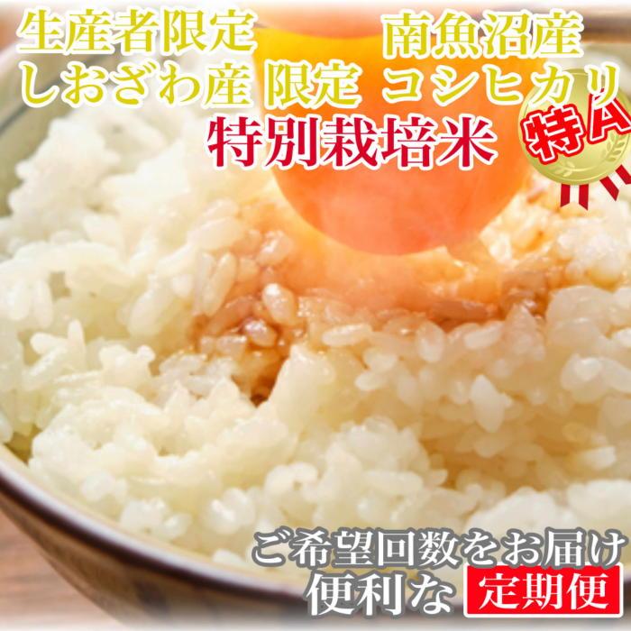 yߘa7NYzy10kg×6zʍ͔| Y YҌ 싛YRVqJy2025N10{菇\zV싛s300000āEp