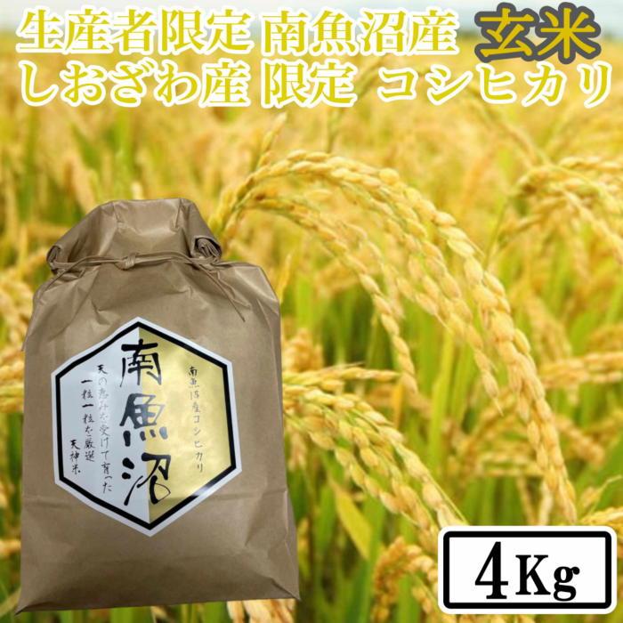 【令和7年産】【4kg】玄米 しおざわ産限定 生産者限定 南魚沼産コシヒカリ【2025年10月上旬より順次発送予定】新潟県南魚沼市22000米・パン玄米・雑穀米・もち米・餅