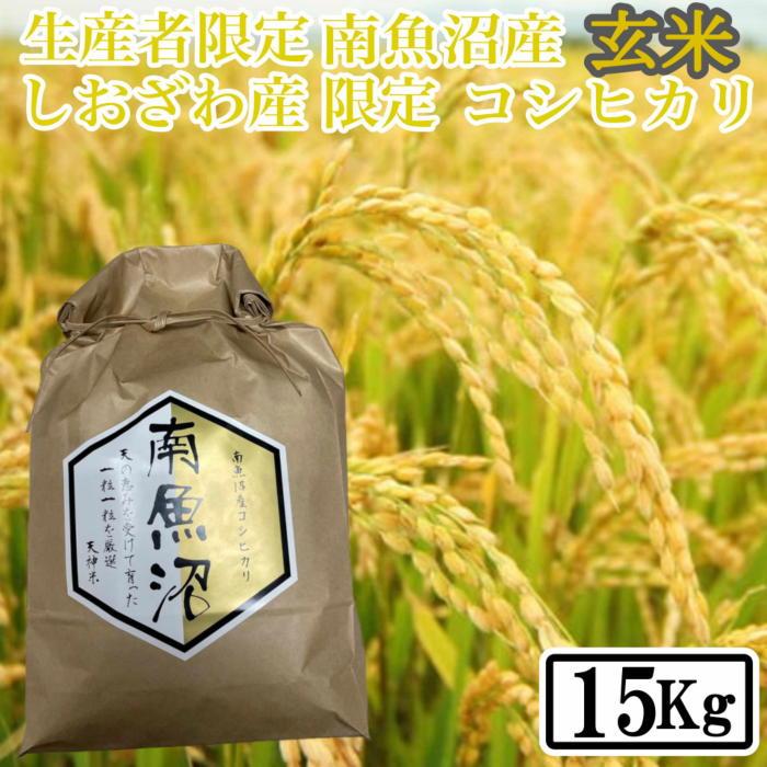 【令和7年産】【15kg】玄米 しおざわ産限定 生産者限定 南魚沼産コシヒカリ【2025年10月上旬より順次発送予定】新潟県南魚沼市75000米・パン玄米・雑穀米・もち米・餅