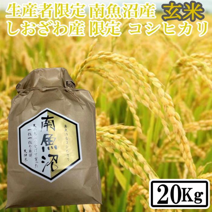 yߘa7NYzy20kgz Y YҌ 싛YRVqJy2025N10{菇\zV싛s100000āEpāEGāEāE