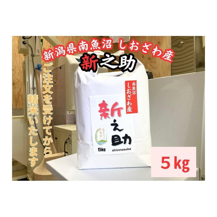V싛Y@VV@5kg@嗱Ńc邱܂łɂȂĐV싛s20000āEp