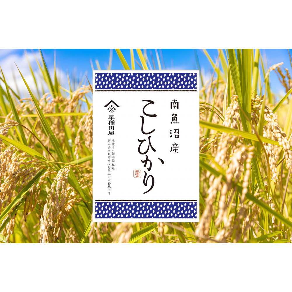 yӂ邳Ɣ[ŁzyߘaVNYVė\z싛YRVqJ PO@YRVqJy2025N10{菇\zV싛s34000āEp