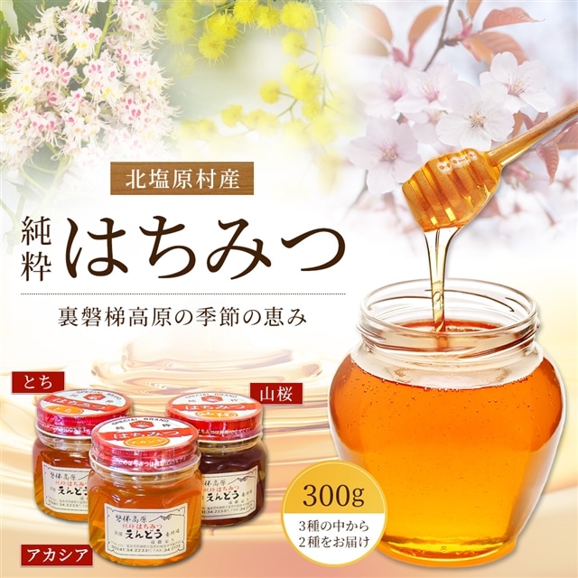 純粋はちみつ300g(2種) KBJ004福島県北塩原村15000鍋セット・総菜・加工食品ジャム・はちみつ