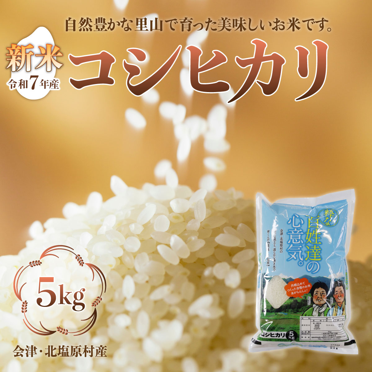 コシヒカリ 米 お米 10kg 令和6年産 福島県産コシヒカリ 白米