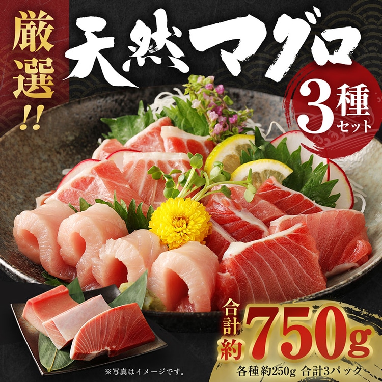 船元が直送! 厳選 天然 マグロ 3種 750g以上 | ミナミマグロ鮪250g メバチ鮪250g ビンチョウ鮪400g 南 目鉢 鬢長 セット まぐろ 食べ比べ みなみまぐろ めばちまぐろ びんちょうまぐろ ワケアリ わ