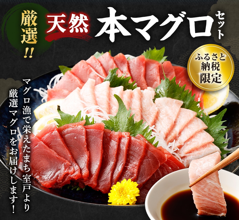 船元が直送! 厳選 天然 本マグロ 中トロ・赤身 食べ比べセット 約600g | 中トロ 約200g 赤身 約400g | 本鮪 本まぐろ クロマグロ 魚 惣菜 まぐろ ワケアリ わけあり 訳あり 中とろ あかみ 刺身 さ
