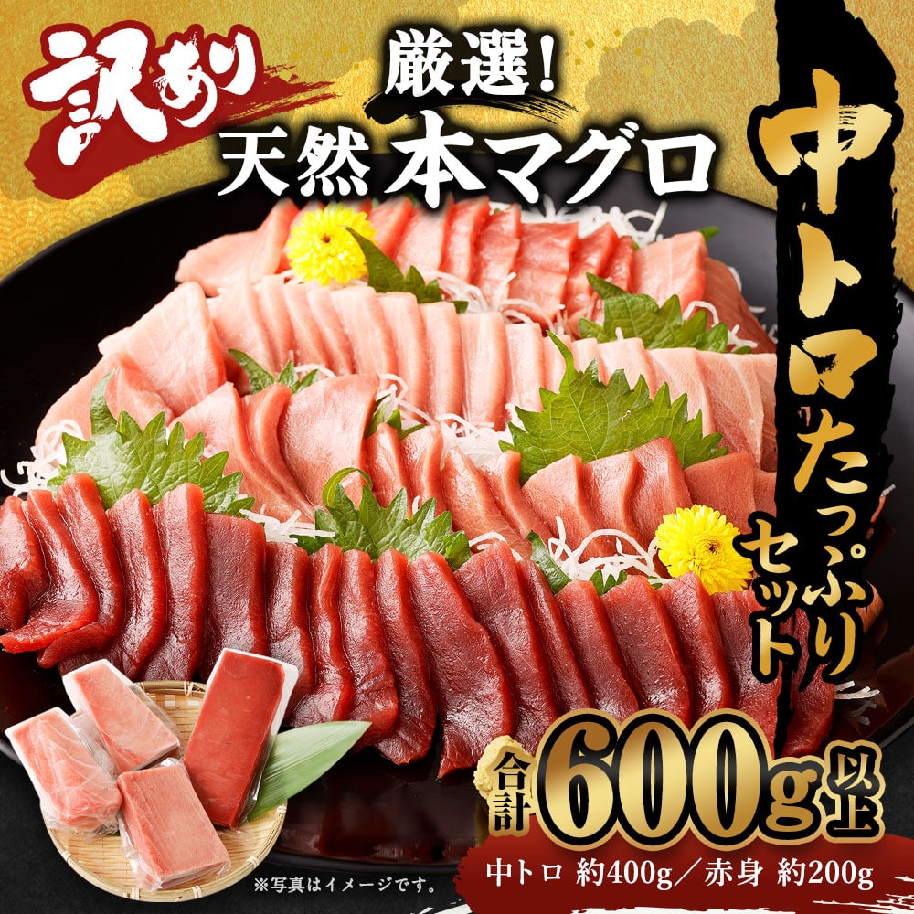 船元が直送! 厳選 天然 本マグロ 中トロたっぷりセット 約600g | 中トロ 400g 赤身 200g | 本鮪 本まぐろ クロマグロ 魚 惣菜 まぐろ ワケアリ わけあり 訳あり 中とろ あかみ 刺身 さしみ 刺し身