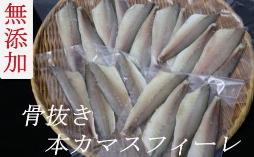 md008骨抜き本かますフィーレ高知県室戸市10000魚介・海産物鮮魚