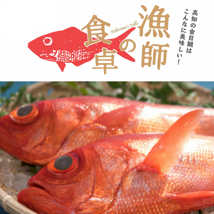 ry001高級金目鯛2尾(鮮魚)高知県室戸市17000魚介・海産物鮮魚