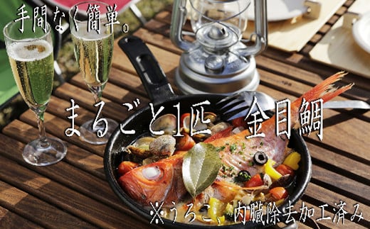 ry002炦ȂB܂邲ƂPL_CiⓀjmˎs14000ECYN