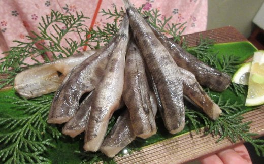 sz005高知県産特大目光の干物高知県室戸市10000魚介・海産物干物