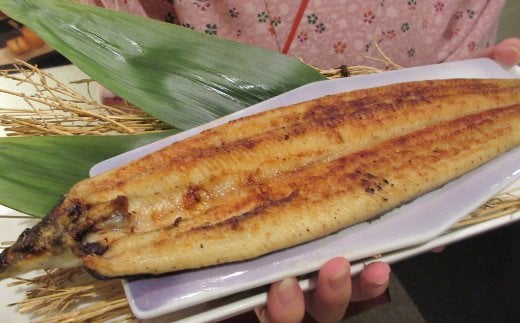 sz006高知県産うなぎ白醤油焼き高知県室戸市14000魚介・海産物うなぎ