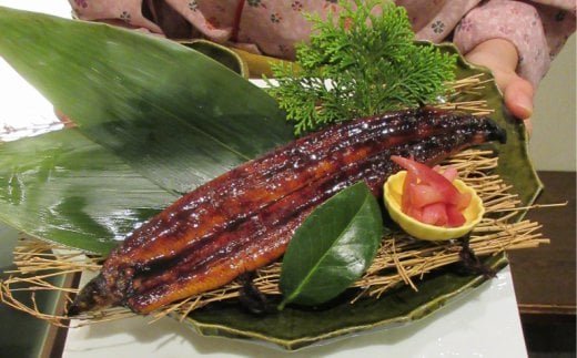 sz012室戸の炙り鯖寿司とうなぎの蒲焼きセット高知県室戸市18000魚介・海産物うなぎ