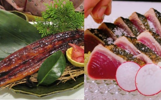 sz022土佐の鰹タタキ片身とうなぎ蒲焼きセット高知県室戸市31000魚介・海産物鮮魚